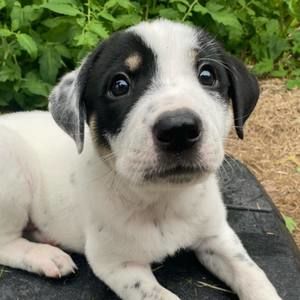 Meet your Posher, Marissa